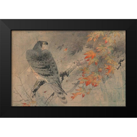 Eagle on a maple branch Black Modern Wood Framed Art Print by Unknown