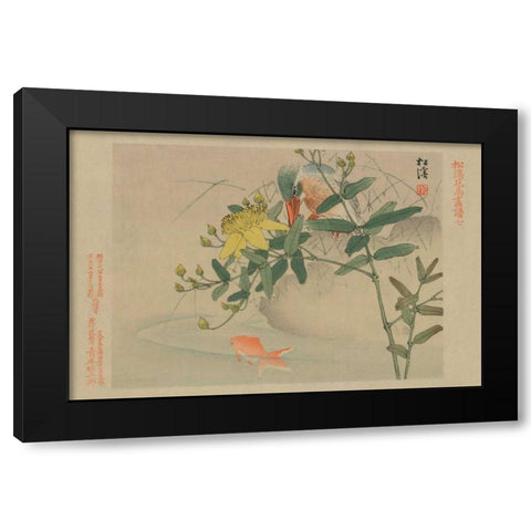 Kingfisher and Goldfish in Pond Black Modern Wood Framed Art Print with Double Matting by Unknown