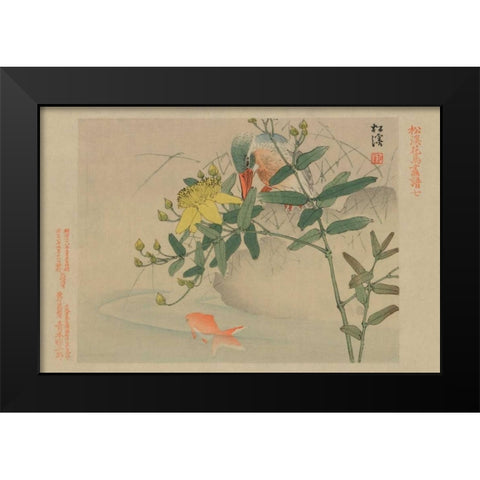 Kingfisher and Goldfish in Pond Black Modern Wood Framed Art Print by Unknown