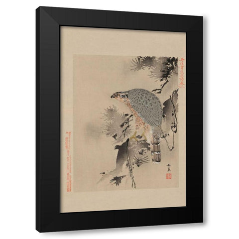 Hawk Black Modern Wood Framed Art Print by Unknown