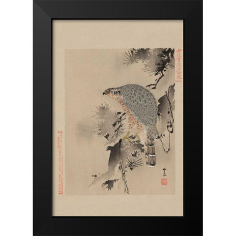 Hawk Black Modern Wood Framed Art Print by Unknown
