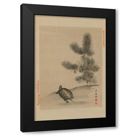 Turtle Black Modern Wood Framed Art Print by Unknown