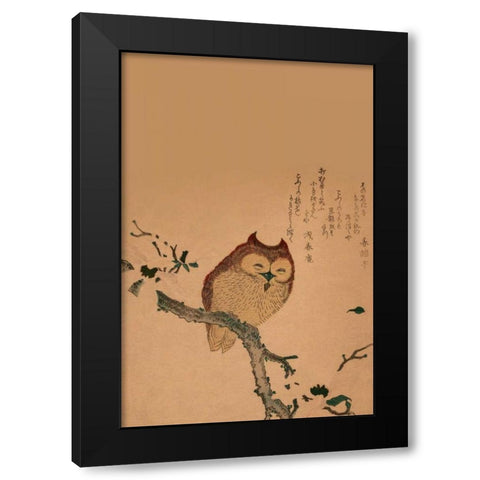 Owl of Branch Black Modern Wood Framed Art Print with Double Matting by Unknown