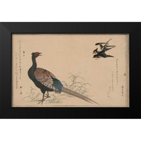 Pheasant Black Modern Wood Framed Art Print by Unknown