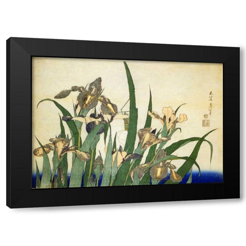 Irises Black Modern Wood Framed Art Print with Double Matting by Hokusai