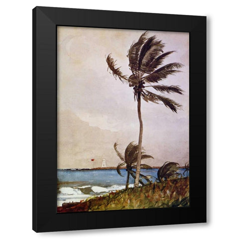 Palm Tree Nassau Black Modern Wood Framed Art Print by Homer, Winslow
