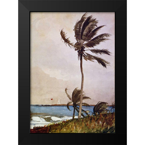Palm Tree Nassau Black Modern Wood Framed Art Print by Homer, Winslow