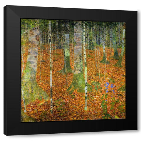 Birch Wood 1903 Black Modern Wood Framed Art Print with Double Matting by Klimt, Gustav