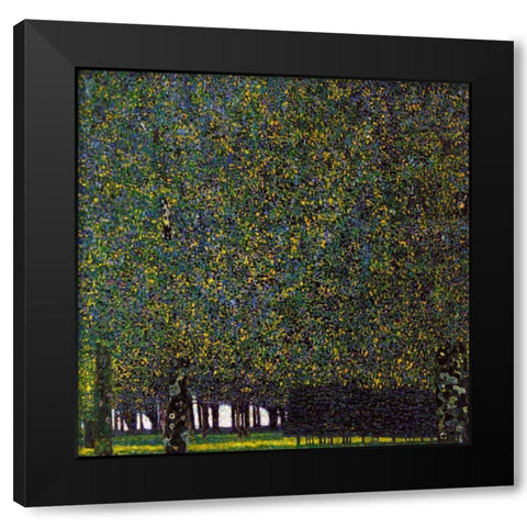 Park Black Modern Wood Framed Art Print with Double Matting by Klimt, Gustav