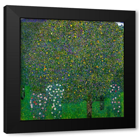 Roses Under Trees 1904 Black Modern Wood Framed Art Print by Klimt, Gustav