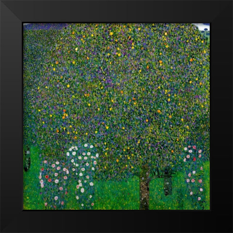 Roses Under Trees 1904 Black Modern Wood Framed Art Print by Klimt, Gustav