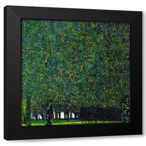 The Park 1910 Black Modern Wood Framed Art Print with Double Matting by Klimt, Gustav