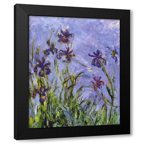 Irises (detail) Black Modern Wood Framed Art Print by Monet, Claude