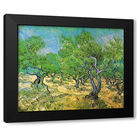 Olive Grove Black Modern Wood Framed Art Print with Double Matting by Van Gogh, Vincent