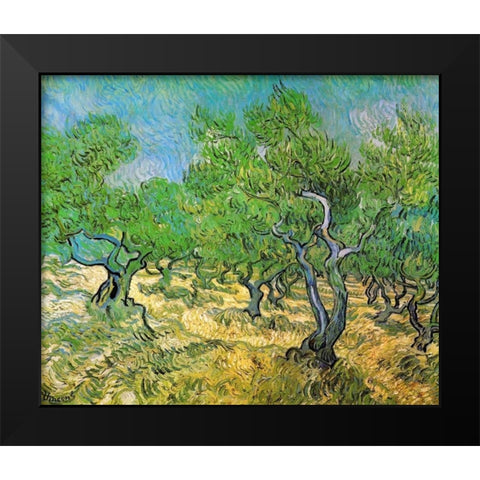 Olive Grove Black Modern Wood Framed Art Print by Van Gogh, Vincent