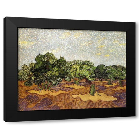 Olive Grove Pale Blue Sky Black Modern Wood Framed Art Print with Double Matting by Van Gogh, Vincent