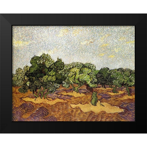 Olive Grove Pale Blue Sky Black Modern Wood Framed Art Print by Van Gogh, Vincent