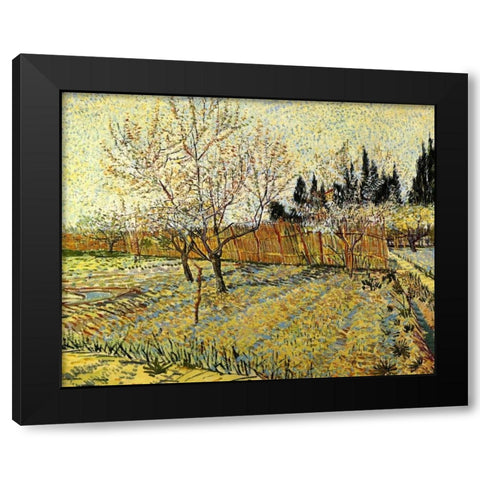 Orchard Springtime Black Modern Wood Framed Art Print with Double Matting by Van Gogh, Vincent