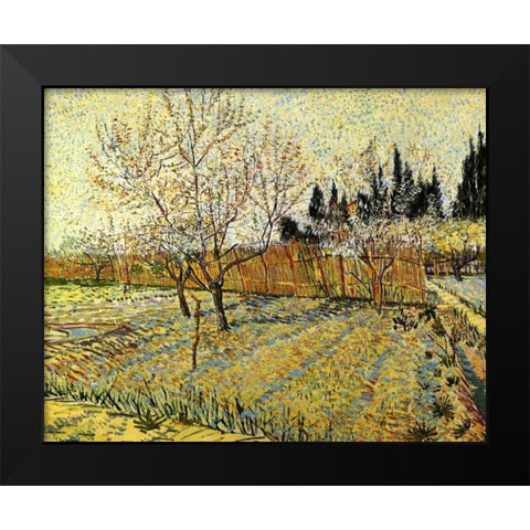 Orchard Springtime Black Modern Wood Framed Art Print by Van Gogh, Vincent