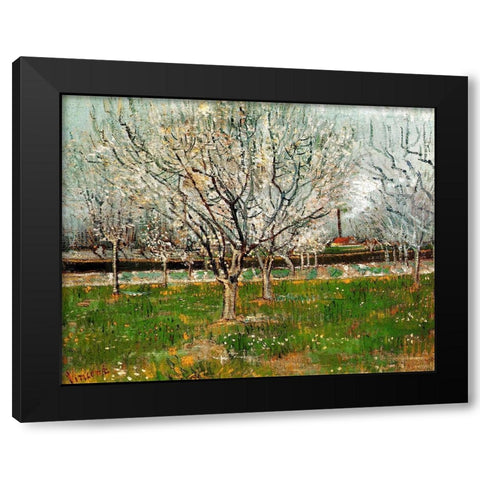 Plum Trees In Blossom Black Modern Wood Framed Art Print with Double Matting by Van Gogh, Vincent