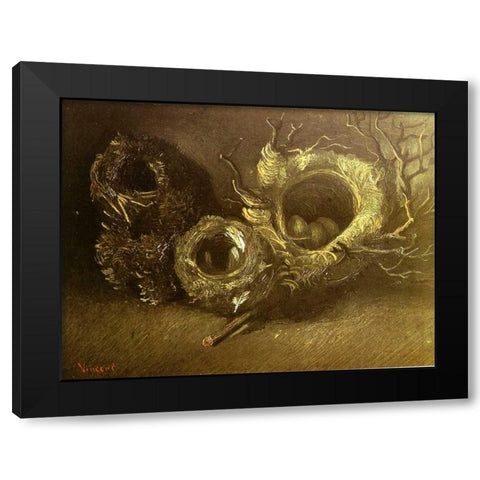 Still Life With Three Birds Nests Black Modern Wood Framed Art Print with Double Matting by Van Gogh, Vincent