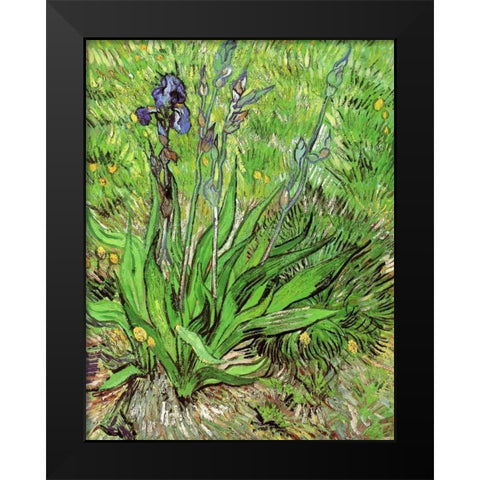 The Iris Black Modern Wood Framed Art Print by Van Gogh, Vincent