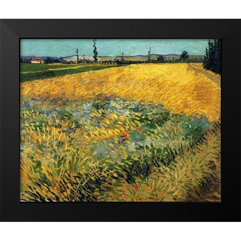 Wheatfield 1888 Black Modern Wood Framed Art Print by Van Gogh, Vincent