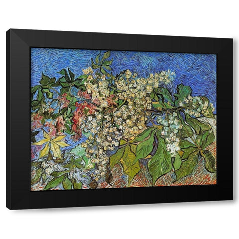 Blossoming Chestnut Branches Black Modern Wood Framed Art Print with Double Matting by Van Gogh, Vincent