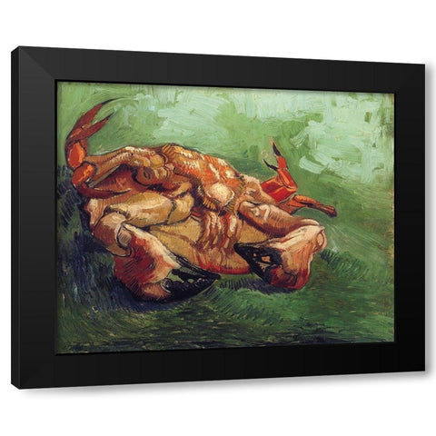 Crab On His Back Black Modern Wood Framed Art Print with Double Matting by Van Gogh, Vincent