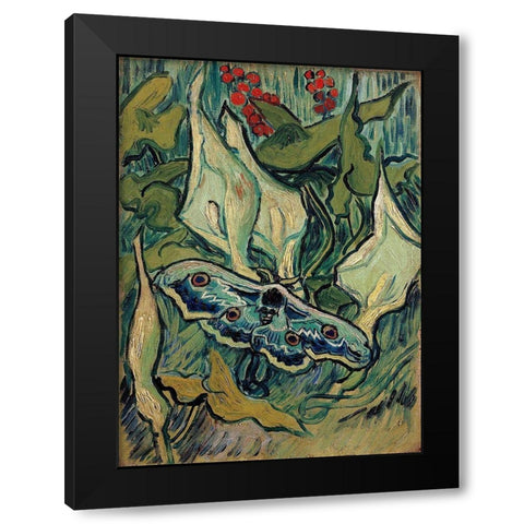 Emperor Moth Black Modern Wood Framed Art Print with Double Matting by Van Gogh, Vincent