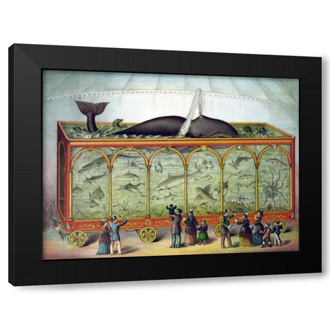 Aquarium Black Modern Wood Framed Art Print by Gibson and Co.