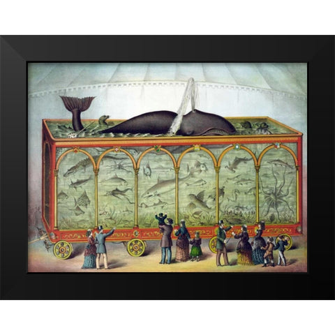 Aquarium Black Modern Wood Framed Art Print by Gibson and Co.