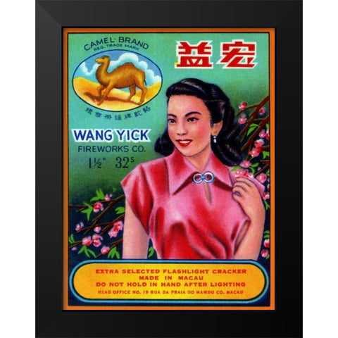 Wang Yick Fireworks Black Modern Wood Framed Art Print by Unknown