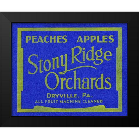 Stony Ridge Orchards Peaches and Apples Black Modern Wood Framed Art Print by Unknown