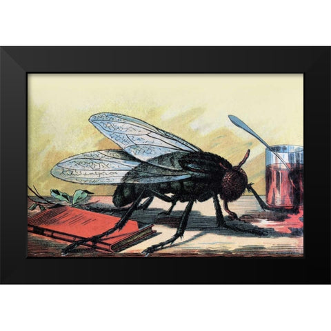 Fly Black Modern Wood Framed Art Print by Unknown