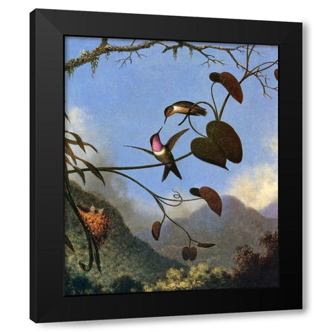 Amethyst Woodstar Black Modern Wood Framed Art Print with Double Matting by Heade, Martin Johnson