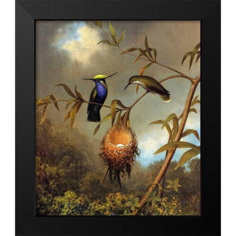 Black Breasted Plovercrest Black Modern Wood Framed Art Print by Heade, Martin Johnson