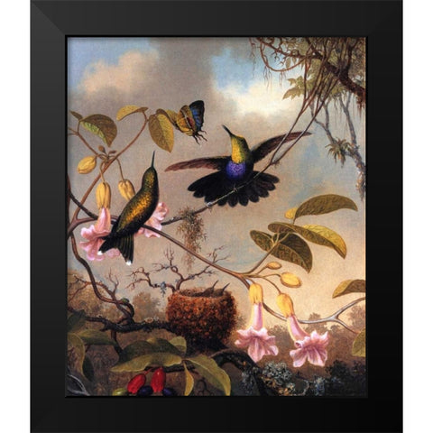 Fork Tailed Woodnymph Black Modern Wood Framed Art Print by Heade, Martin Johnson