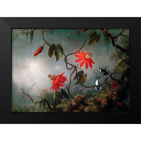 Passion Flowers And Hummingbirds Black Modern Wood Framed Art Print by Heade, Martin Johnson