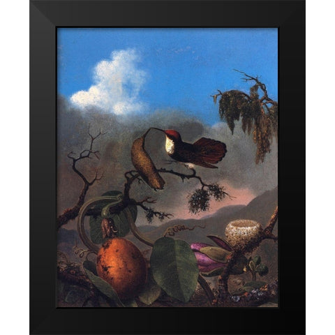 Ruby Topaz Black Modern Wood Framed Art Print by Heade, Martin Johnson