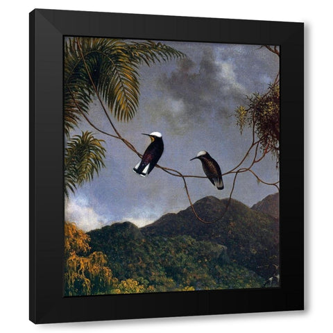 Snowcap Black Modern Wood Framed Art Print with Double Matting by Heade, Martin Johnson
