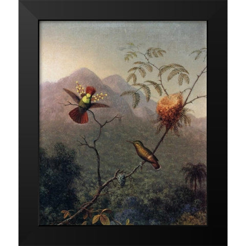 Tufted Coquette Black Modern Wood Framed Art Print by Heade, Martin Johnson
