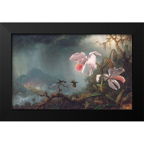 Two Fighting Hummingbirds With Two Orchids Black Modern Wood Framed Art Print by Heade, Martin Johnson