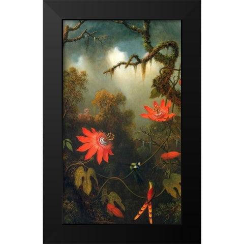 Two Hummingbirds Perched On Passion Flower Vines Black Modern Wood Framed Art Print by Heade, Martin Johnson