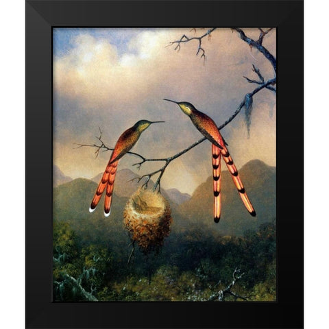 Two Hummingbirds With Their Young Black Modern Wood Framed Art Print by Heade, Martin Johnson