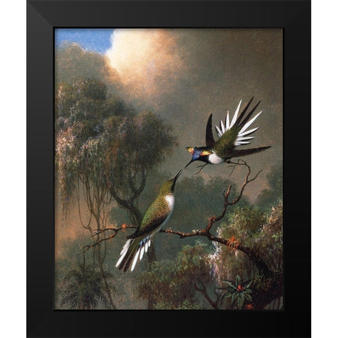 Two Sun Gems On A Branch Black Modern Wood Framed Art Print by Heade, Martin Johnson