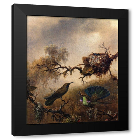 White Vented Violet Ear Black Modern Wood Framed Art Print by Heade, Martin Johnson