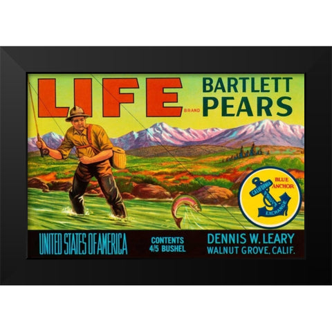 Life Brand Bartlett Pears Black Modern Wood Framed Art Print by Retrolabel