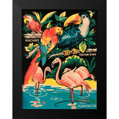 Tropical Hobbyland - Birds Black Modern Wood Framed Art Print by Retrotravel