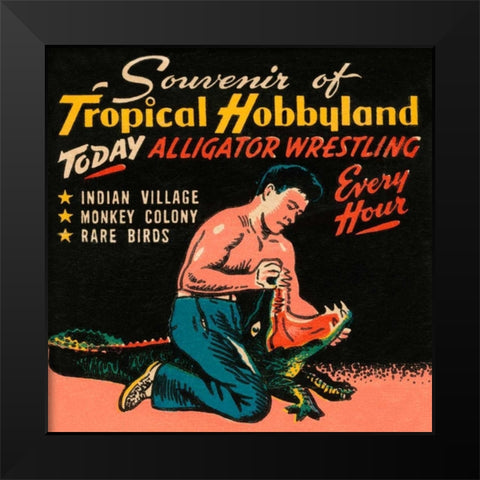 Tropical Hobbyland - Alligator Wrestling Black Modern Wood Framed Art Print by Retrotravel